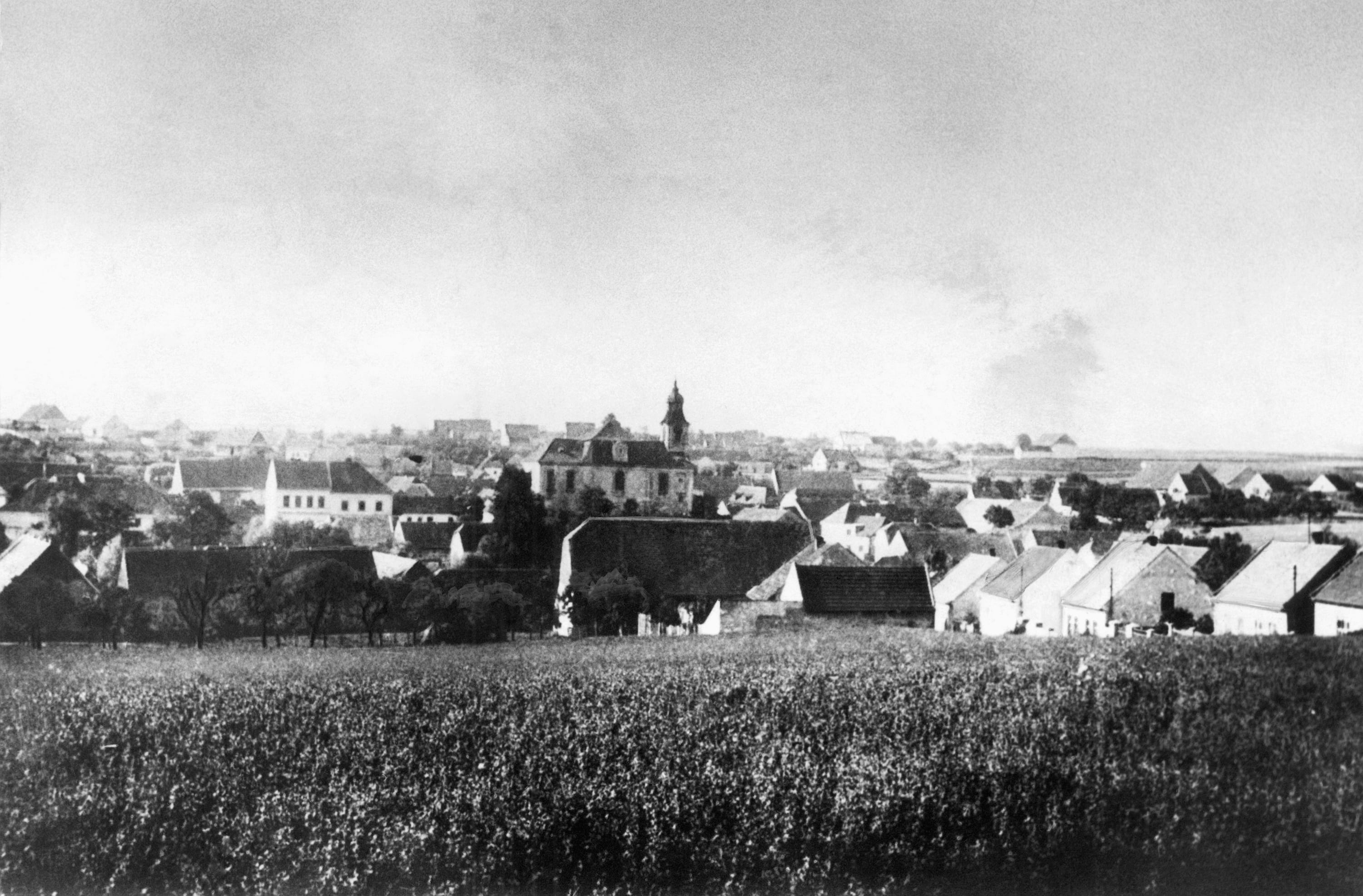 The village of Lidice, Czechoslovakia, before it was burned to the ground by Nazis on June 10, 1942. Very few escaped the massacre, which was an effort to dig out a group of Czech resistance fighters. (AP Photo/Czech News Agency)